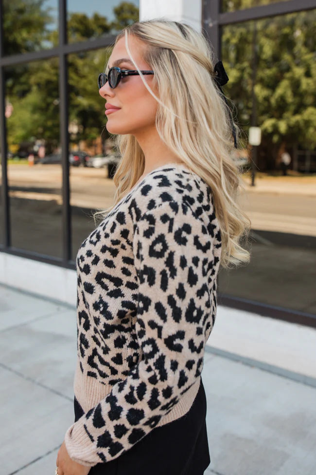 Fierce Feelings V-Neck Leopard Sweater