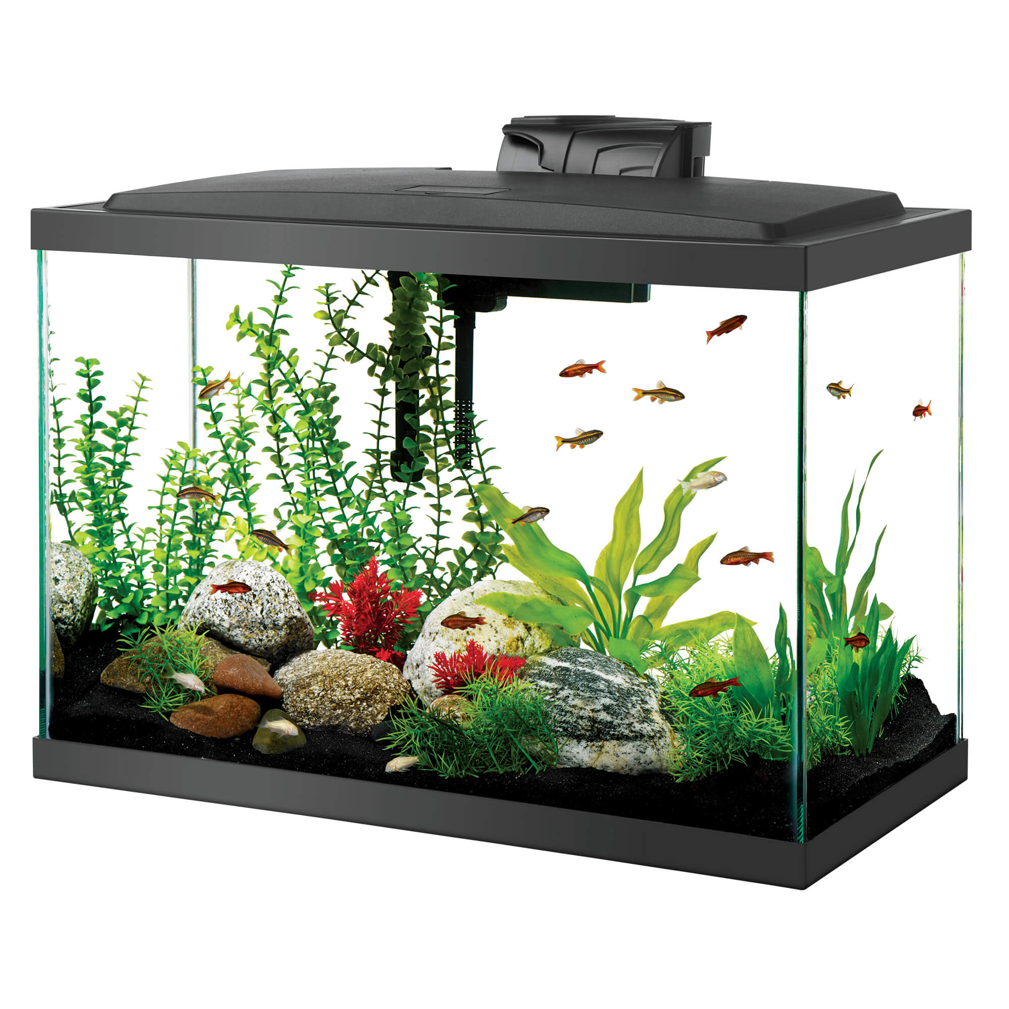 Aqueon Aquarium Starter Kit with LED Lighting 20 Gallon High