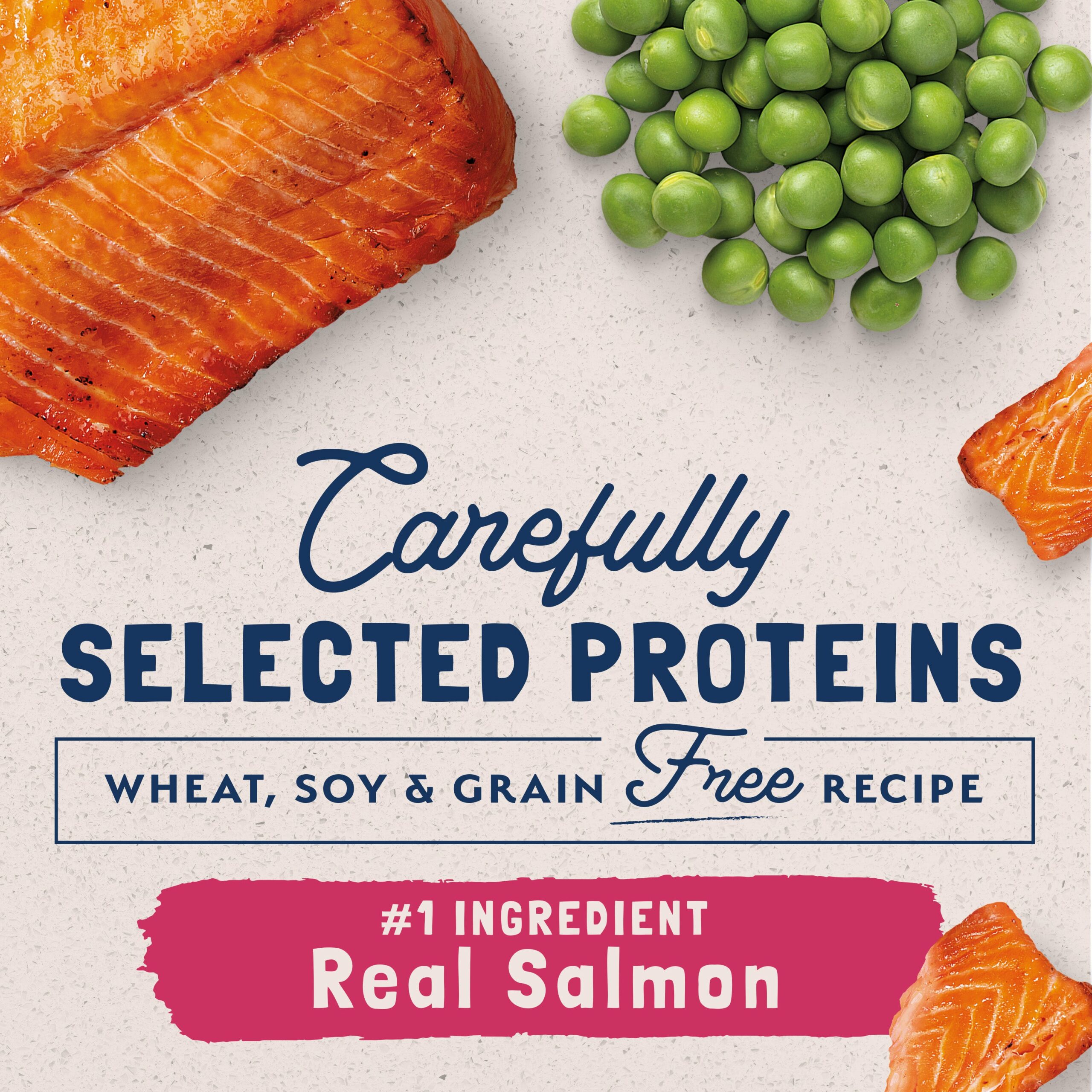 Natural Balance® Limited Ingredient Grain Free Salmon & Green Pea Recipe Cat Dry