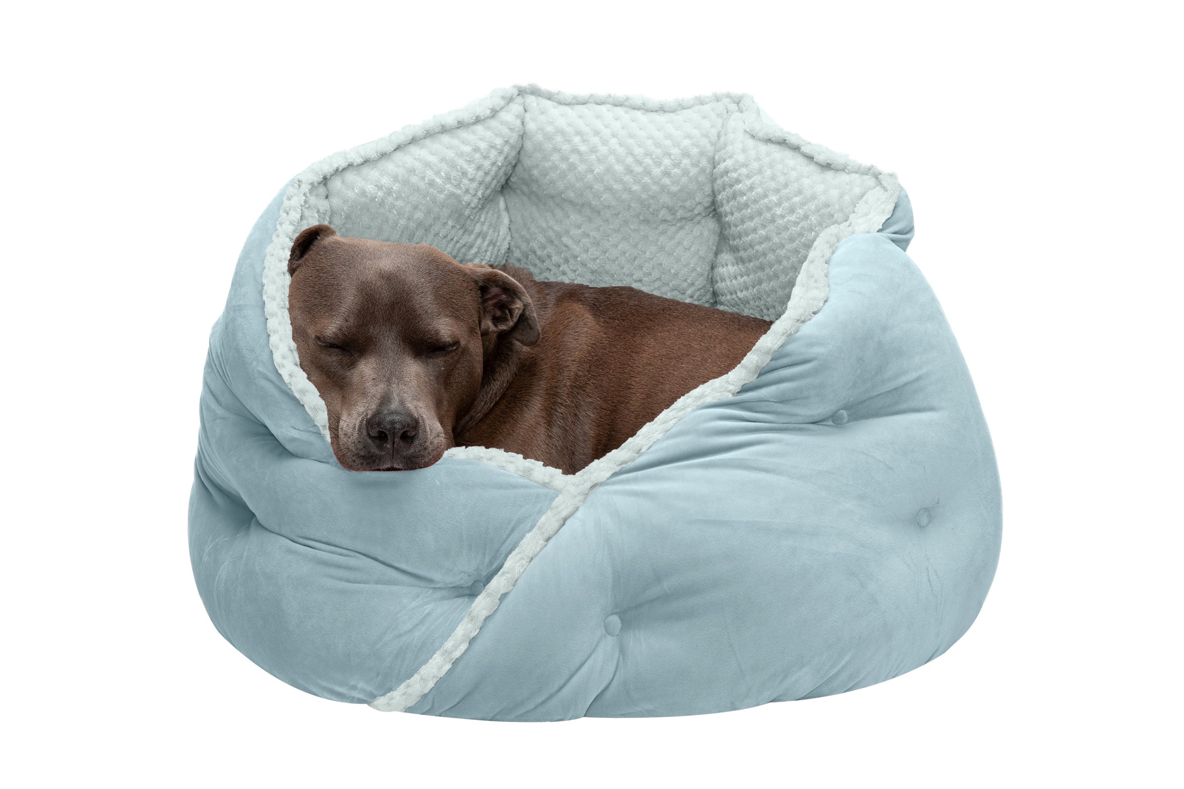 FurHaven Minky Faux Fur & Velvet Calming Hug Bed – Medium 24″, Aquamarine