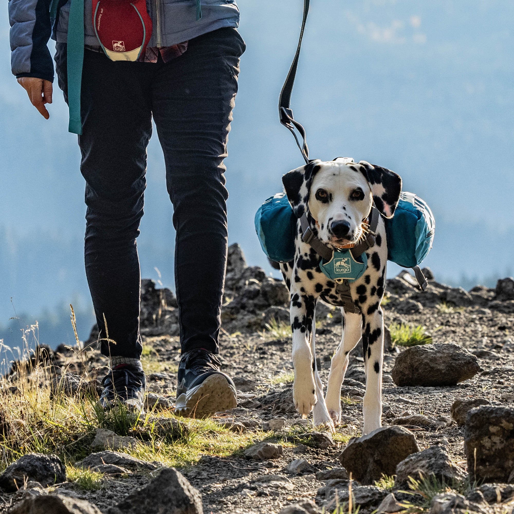 Kurgo Big Baxter Dog Backpack – Blue