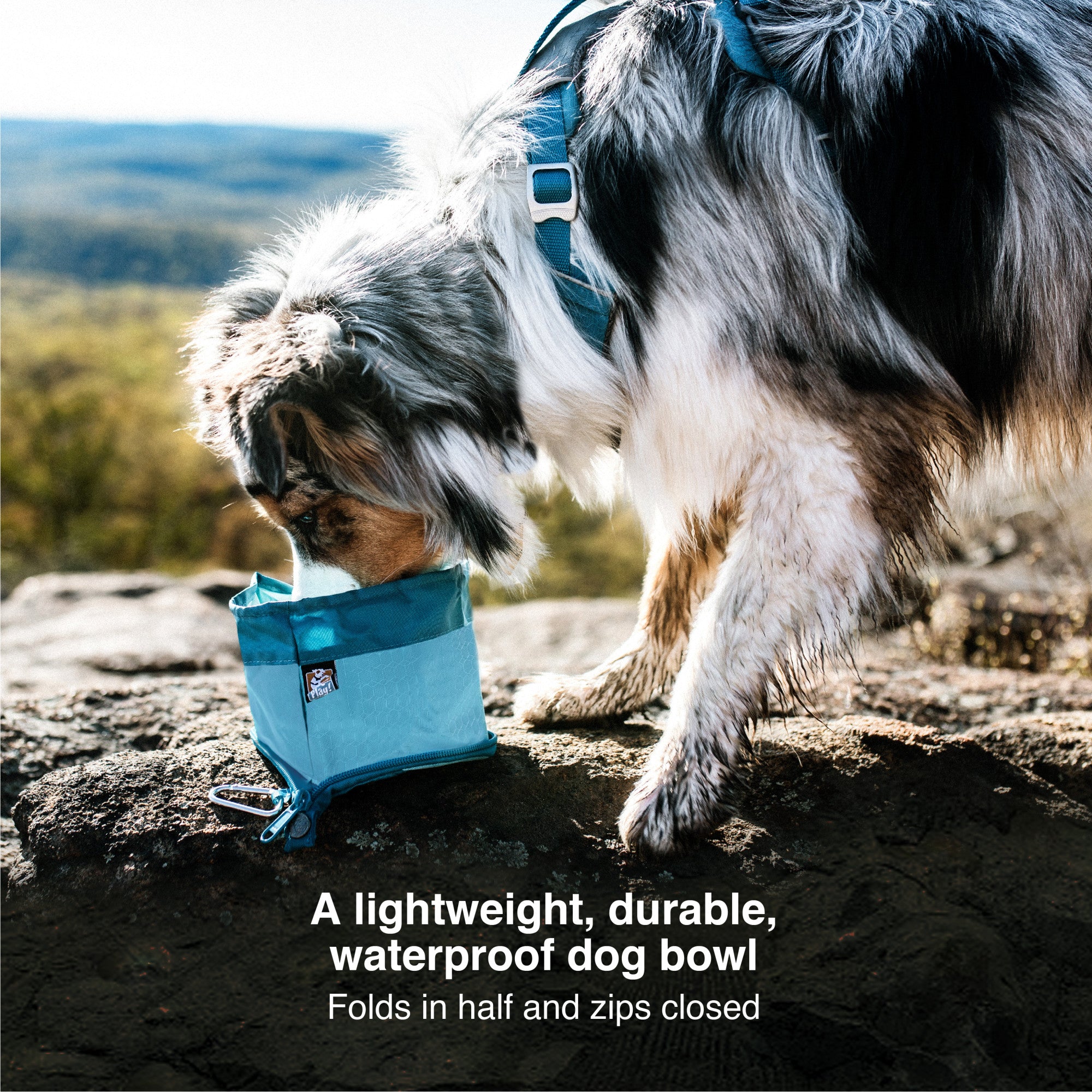 Kurgo Zippy Bowl for Dogs – Blue