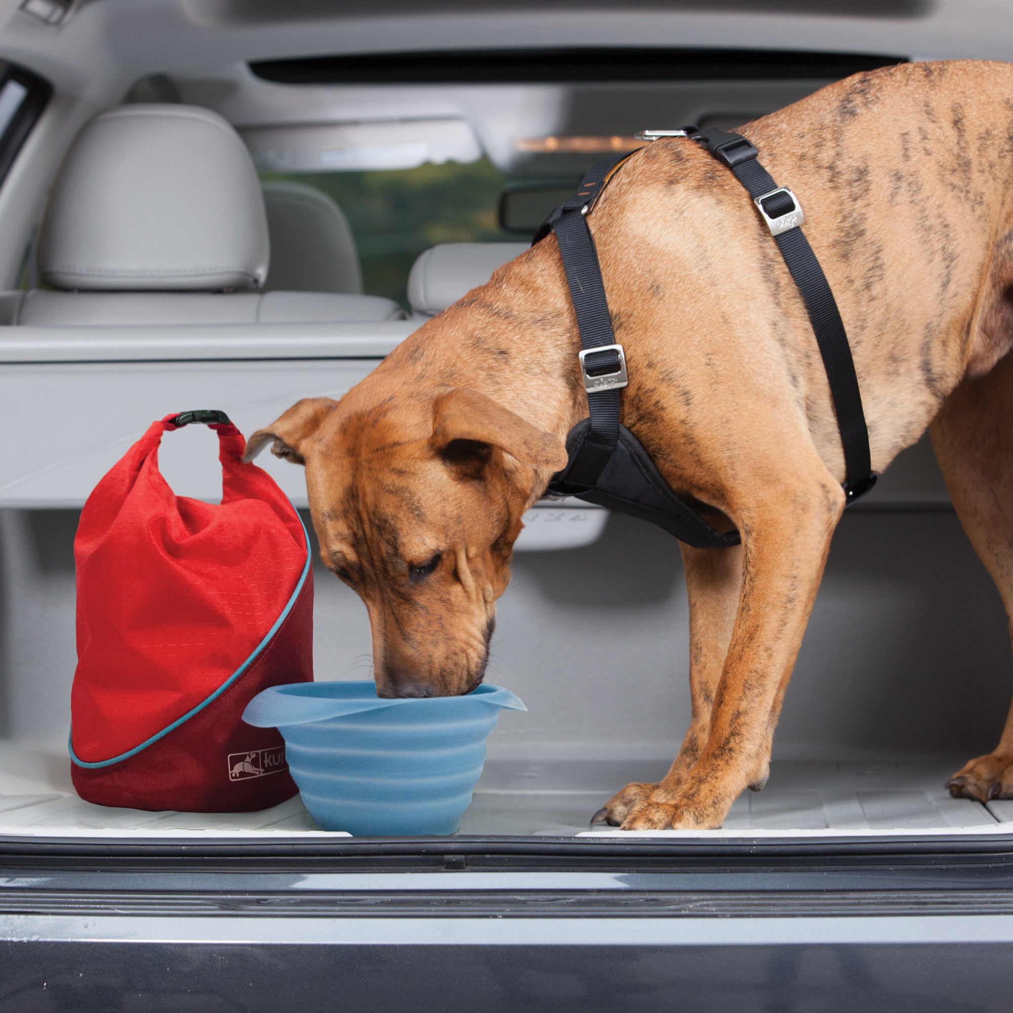 Kurgo Kibble Carrier for Dogs, Dog Food Travel Bag – Red