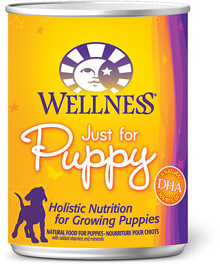 Wellness Complete Health Natural Just for Puppy Chicken and Salmon Recipe Wet Canned Dog Food