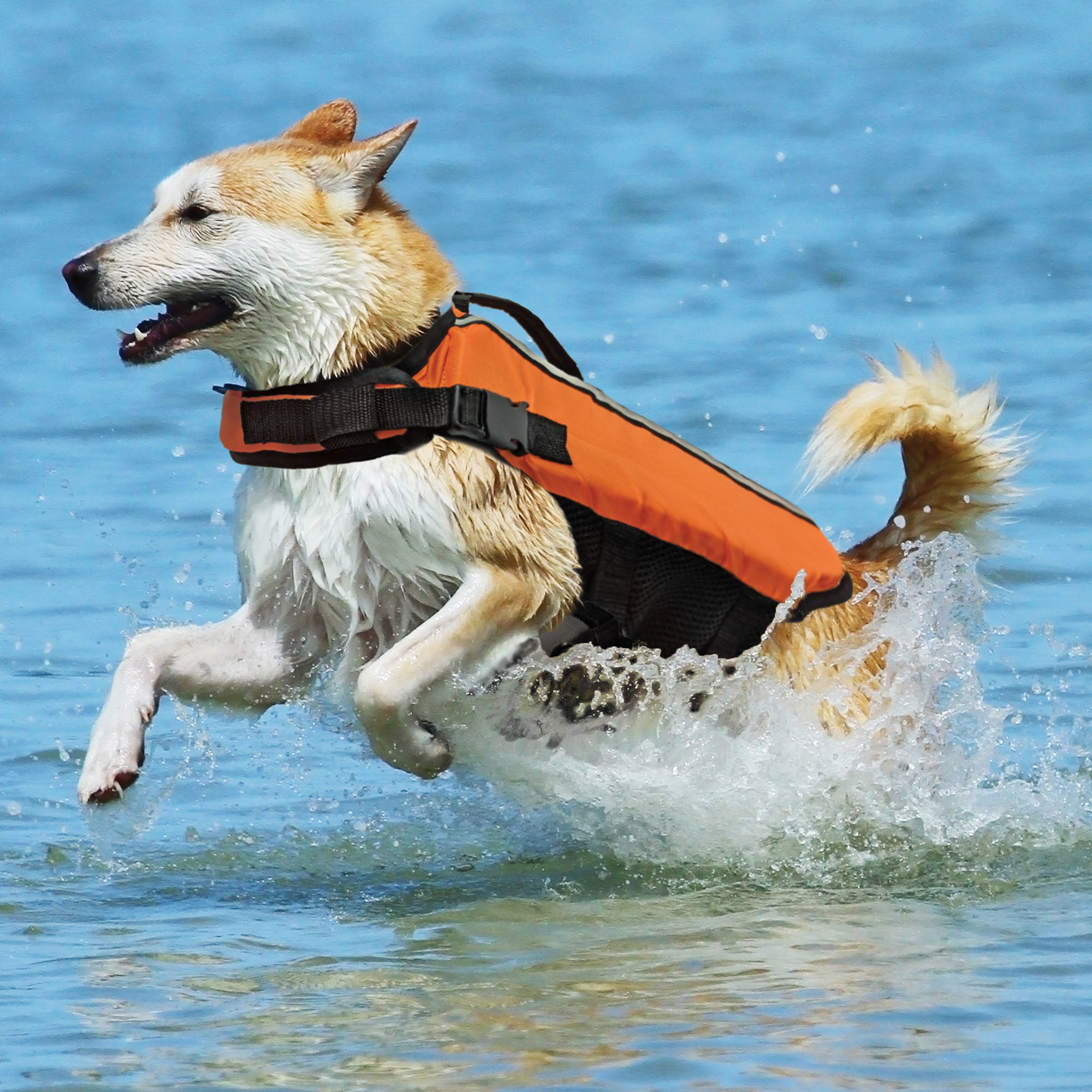 Fashion Pet Life Vest, Orange