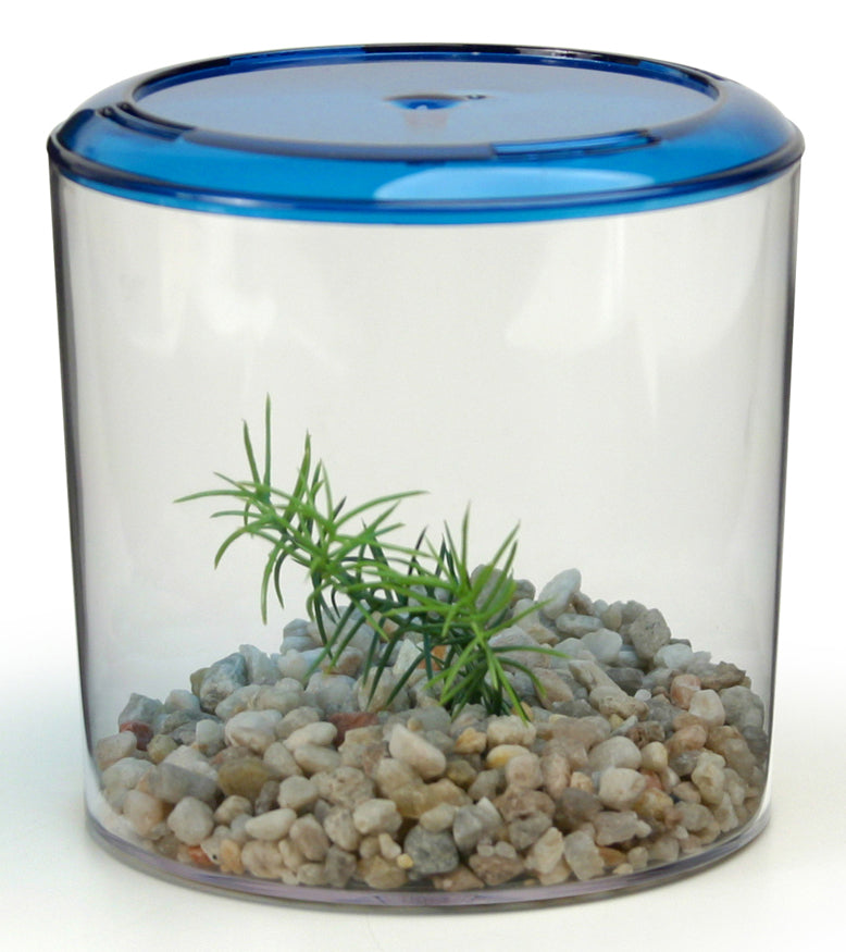 Lee’s Aquarium Round Betta Fish Keeper