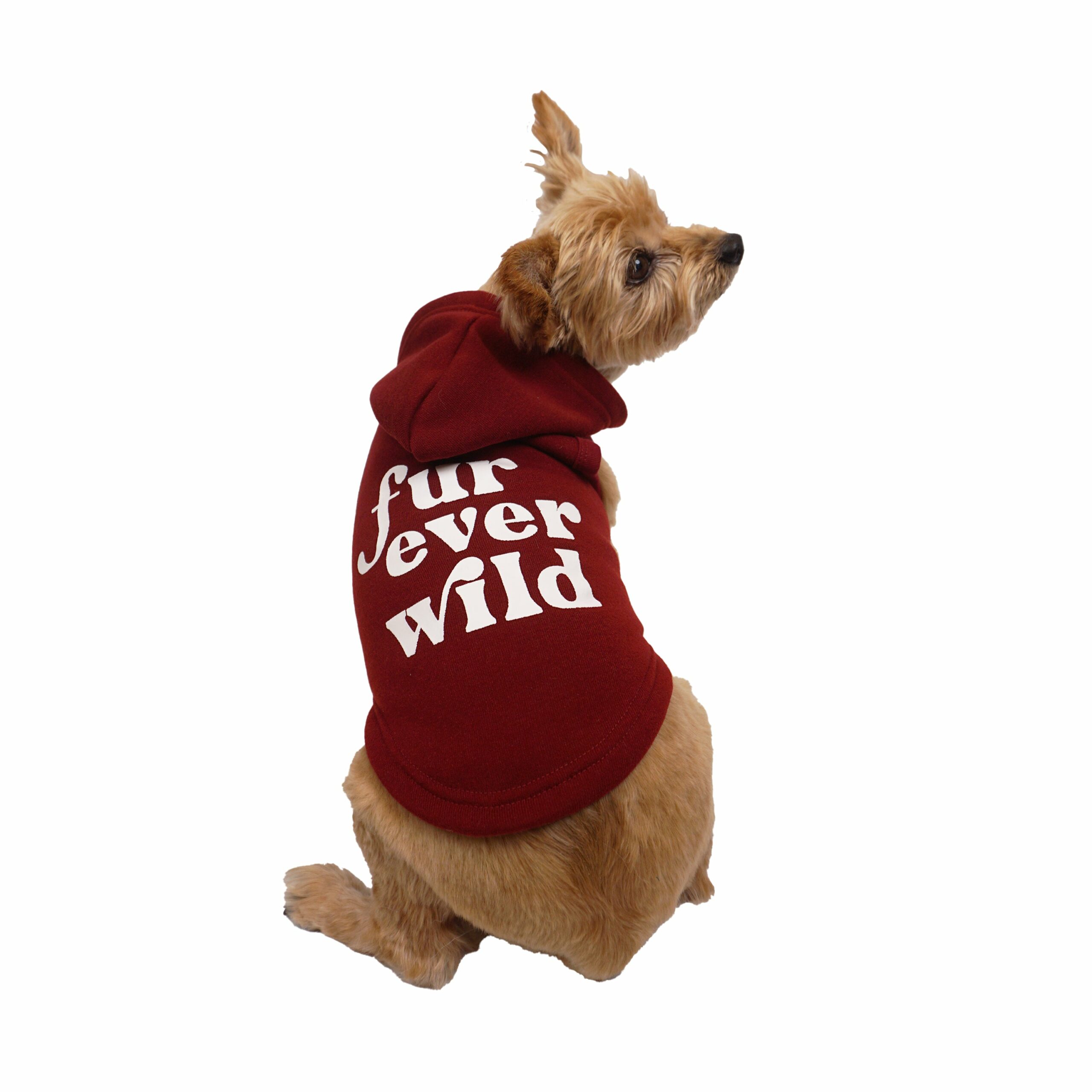 Celebrations Fur Ever Wild Dog Hoodie