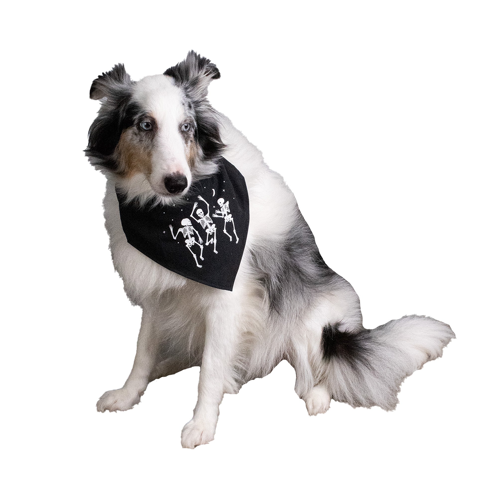 Dancing Skeletons Pet Bandana Halloween 2pk