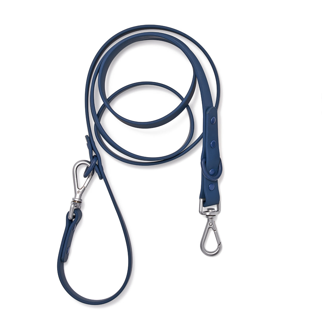 Wild One Leash – Blue