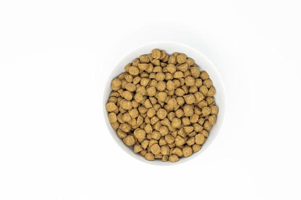 Stella & Chewy’s Raw Coated Kibble With Wholesome Grains Grass Fed Lamb Recipe Dry Dog Food