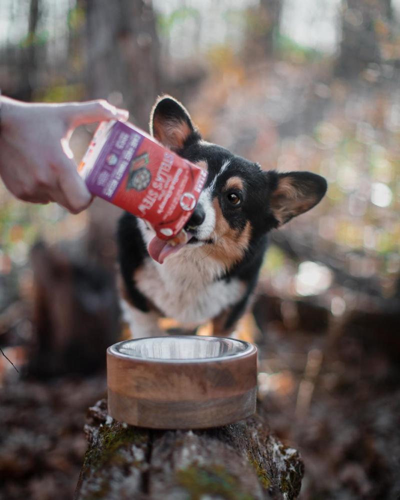 Stella & Chewy’s Stella’s Stew Cage Free Turkey Recipe Food Topper for Dogs