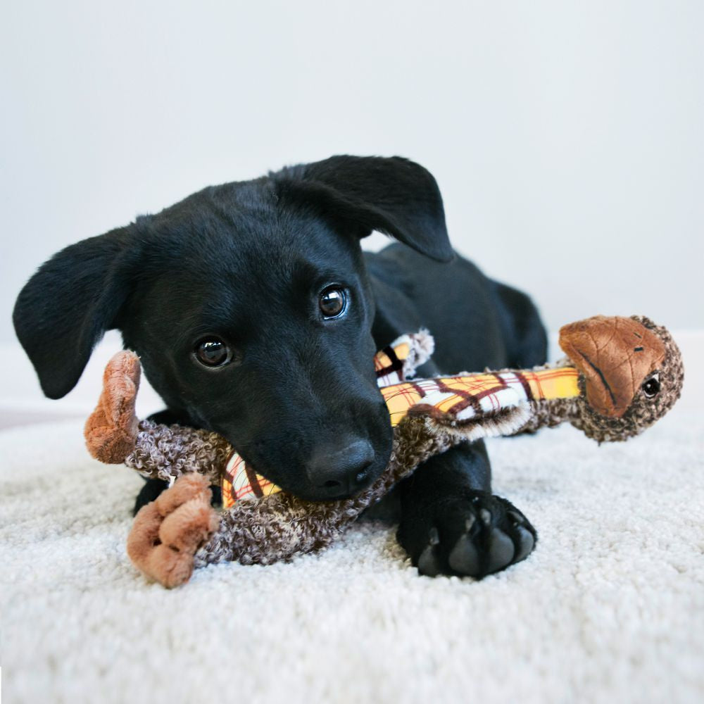 KONG Shakers Luvs Elephant Dog Toy