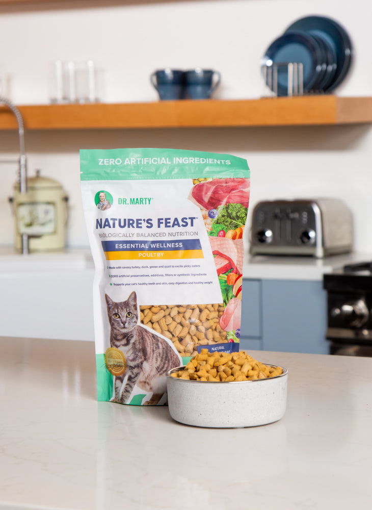 Dr. Marty Nature’s Feast Essential Wellness Poultry Freeze Dried Raw Cat Food