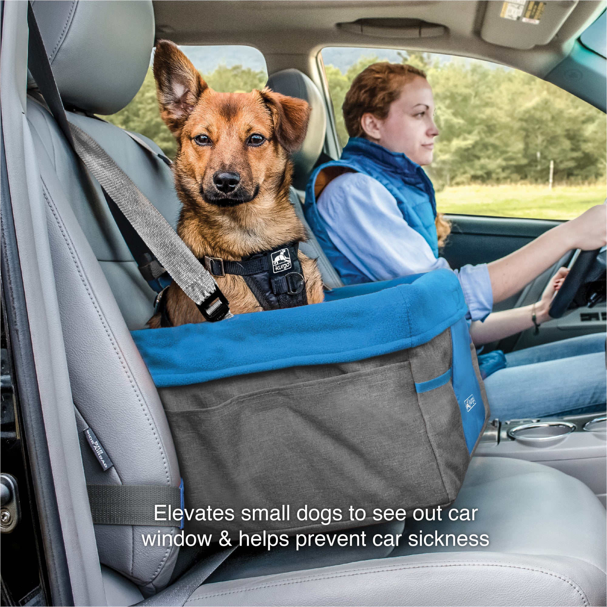 Kurgo Heather Dog Booster Seat for Travel