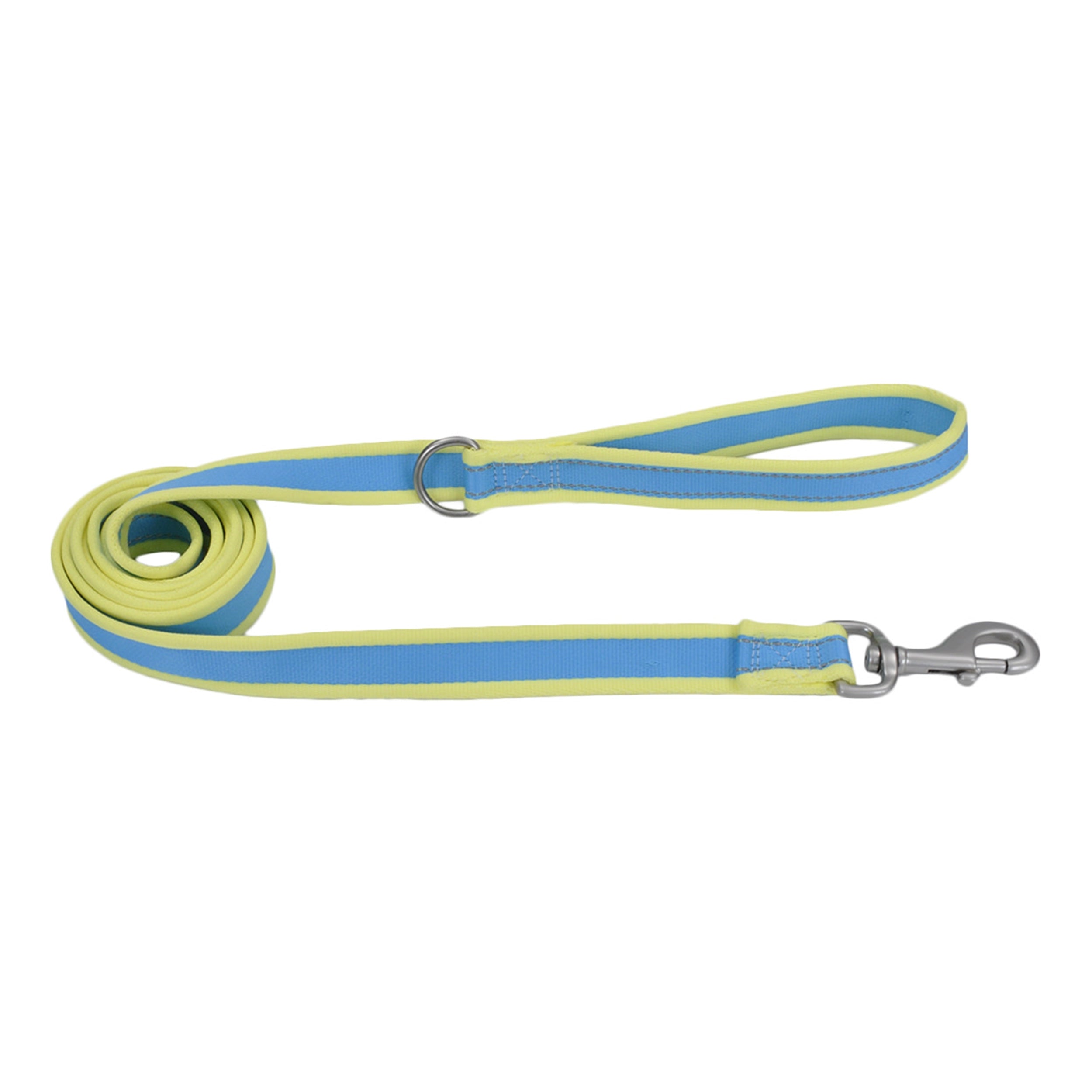 Pro Reflective Dog Leash, Blue and Yellow